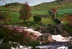 Country side near Vigrestad